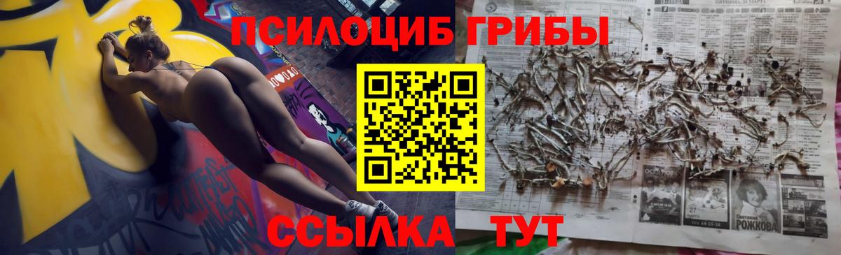 Галлюциногенные грибы MAGIC MUSHROOMS Кинель