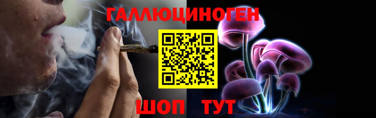 Кинель  Псилоцибиновые грибы ЛСД  Вход с VPN  Псилоцибиновые грибы MAGIC MUSHROOMS 